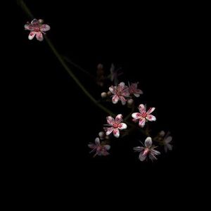 笔盒beatbox在线观看
